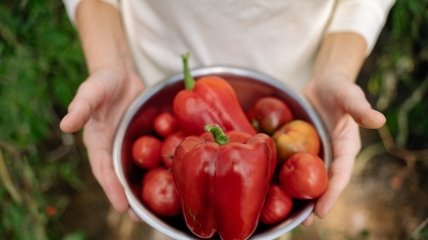Сладкий перец – популярная культура на огороде