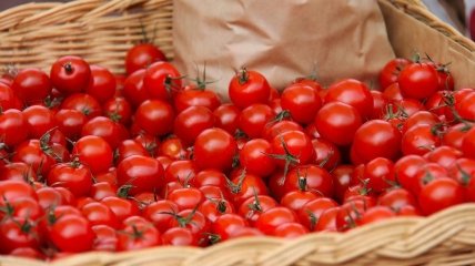 Чим підгодовувати помідори у червні