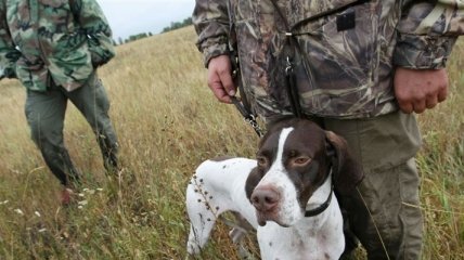 Охотник из Одесской области во время охоты застрелил мужчину