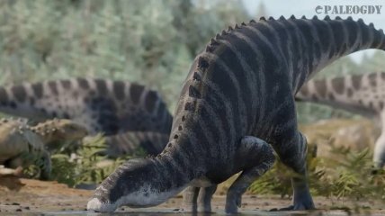 "Новенький" у світі динозаврів