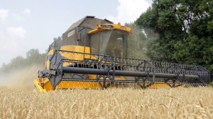 МВФ: Украина хочет разрешить продажу сельхозземель с 2018 года