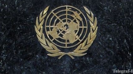 Совет ООН передал Украине рекомендаций на 12 страницах