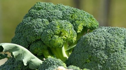 Назван овощ, который может предотвратить появление рака