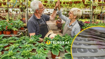 Пожилые люди могут заработать неплохие деньги