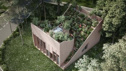 Потрясающий дом с огородом на крыше (Фото)