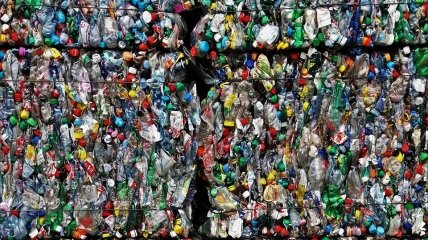 10 фактов о пластиковом загрязнении