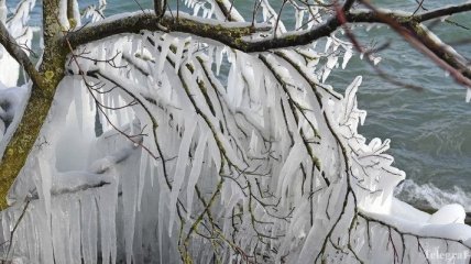 Ледовая сказка: из-за сильных морозов Швейцария покрылась льдом (Фото)