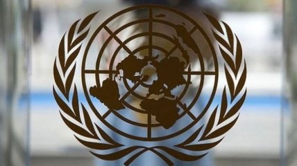 Совбез ООН на две недели продлил мандат комиссии по химическому оружию