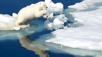 Метеорологи предупреждают о страшных последствиях потепления в Арктике