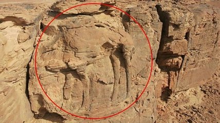 Археологи сделали "беспрецедентное" открытие в пустыне Саудовской Аравии