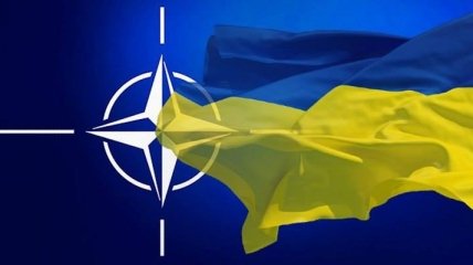 Комиссия Украина-НАТО не состоится из-за вето Венгрии