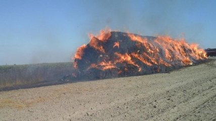В Харьковской области сгорели корма для животных