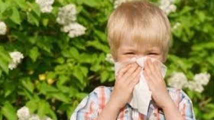 Чистота – причина детских аллергий