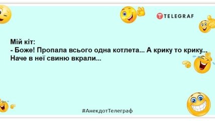 Наш кот тоже сначала не любил пылесос, а потом ничего — втянулся: шутки о домашних питомцах