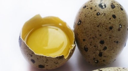 Почему так полезны перепелиные яйца?