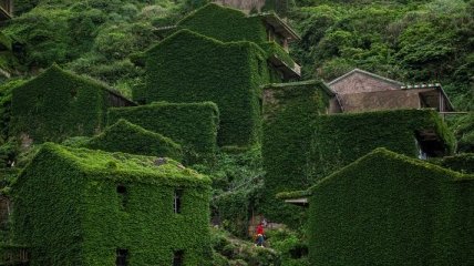 Шэншань — остров-призрак, который медленно поглощается природой (Фото)