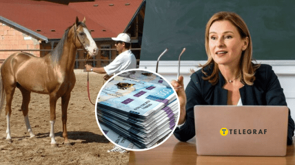 Конюх, гроші та жінка за ноутбуком