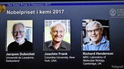 Нобелевская премия-2017: стали известны лауреаты по химии
