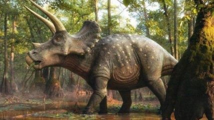 Ученые сделали неожиданное заявление о гибели динозавров