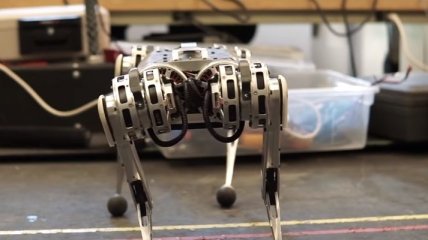 Утонченность и грация: MIT продемонстрировал новые возможности робота Mini Cheetah