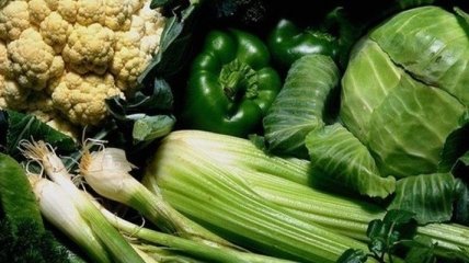 Овощи зеленого цвета, которые восстановят иммунитет в кишечнике