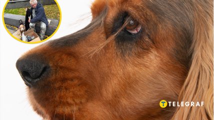 У мережі скаржаться на киянина у собакою