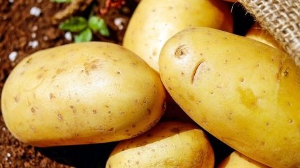 Вчені пояснили, коли категорично не можна їсти картоплю