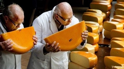 Сыр защищает от кариеса