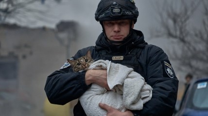 Кіт-втікач, якого поліцейський виніс з обстріляного будинку