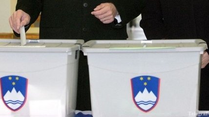 В Словении пройдут президентские выборы