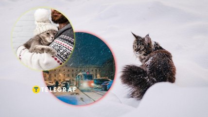 Снег в Украине