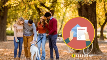 Прогулка с собакой