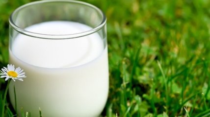 Эксперты нашли полезную замену коровьему молоку