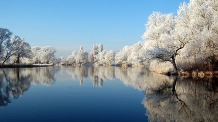 Потрясающие снимки: белоснежная гармония зимы (Фото)