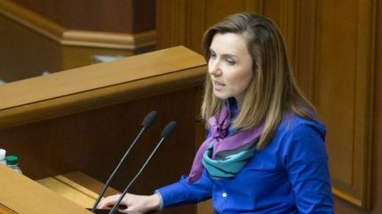 Микольская: ВТО обеспокоена работой ГФС на таможне
