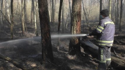 На Житомирщине спасатели продолжают бороться с лесными пожарами