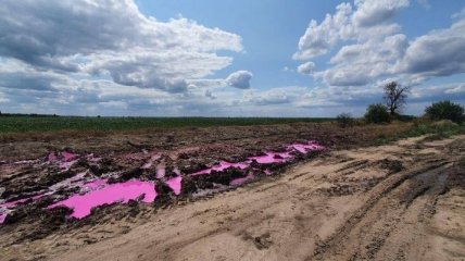 Розовые лужи на полях под Ровно: в полиции сообщили, что грозит провинившимся 