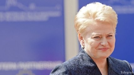 Президент Литвы: Евросоюз готов помочь восточным партнерам 