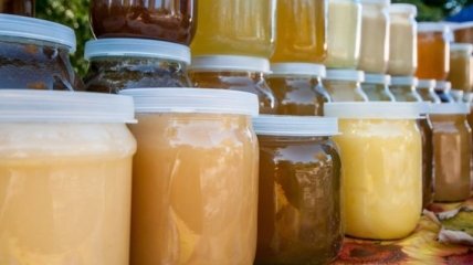 В Чехии заявили, что украинский мед содержит примесь антибиотиков