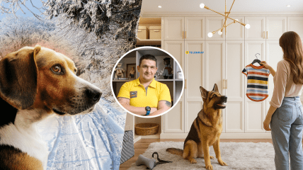 Павел Люлько, собаки