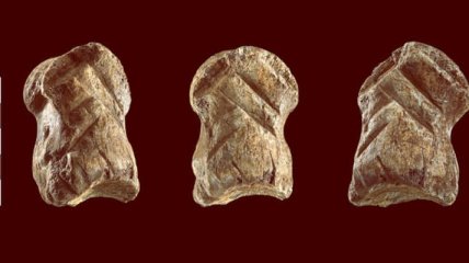 Искусство по-неандертальски - резная кость вымершего оленя поразила ученых (видео)