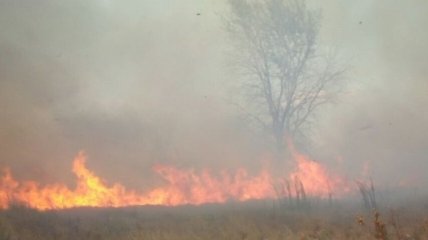 Пожарным удалось локализовать пожар на военном полигоне Харьковской области