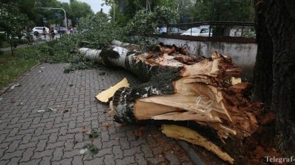 В Польше в результате ураганов погибли два человека