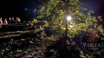 Во Львове сломавшееся из-за урагана дерево упало на парня и девушку - оба погибли на месте (фото)