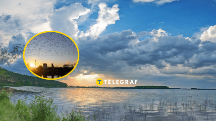 Коллаж "Телеграфа"