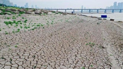 Аномальная засуха в Китае: на востоке страны зафиксирован самый низкий уровень осадков за полвека