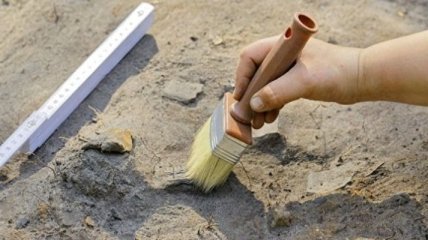Археологи обнаружили крупное англосаксонское кладбище в Великобритании