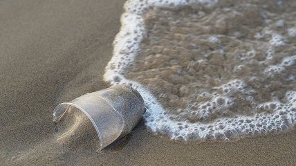 Как очистить океан от пластика: ответ экологов