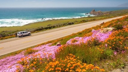 Цветущее побережье Калифорнии и Санта-Барбара (Фото)