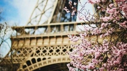 “Французская весна 2016” откроется световым 3D-шоу